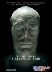 5 чувств страха (2013)